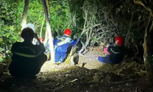 Giải cứu hai nữ du khách đi lạc trong rừng Sơn Trà